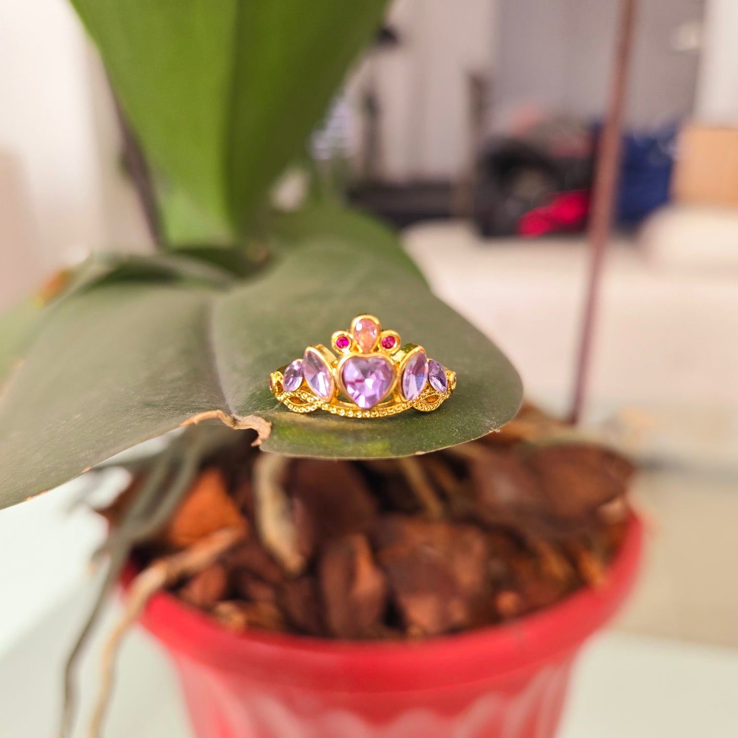 Anillo Princesa Lila