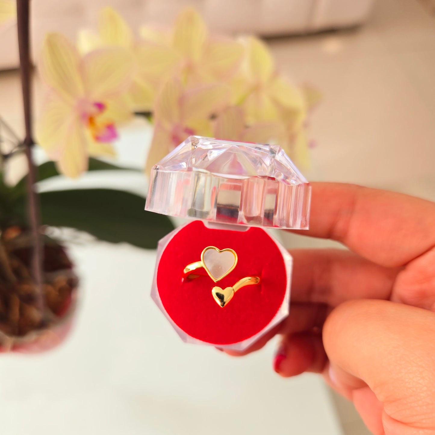 Anillo Doble Corazón Nacarado