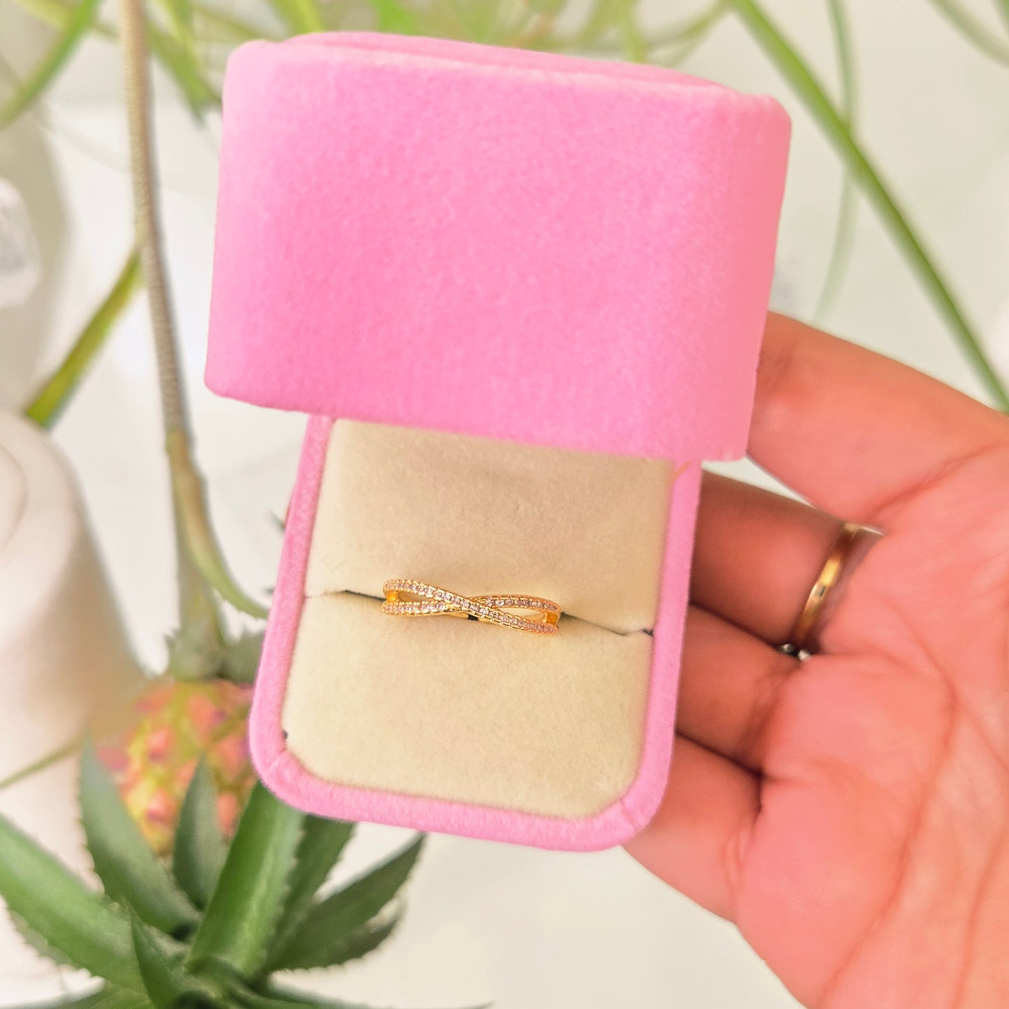 Anillo Infinito Con Cofre