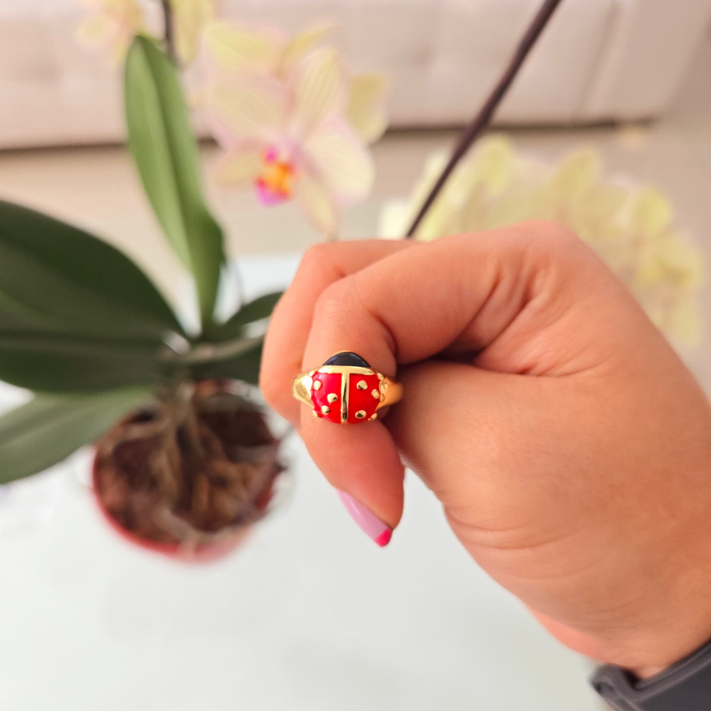 Anillo Mariquita 🐞