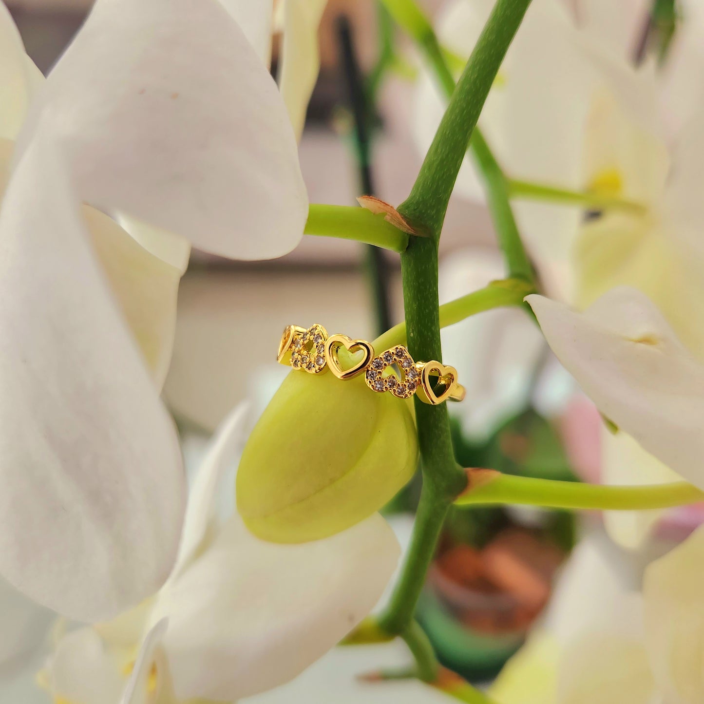 Anillo Corazones Circones