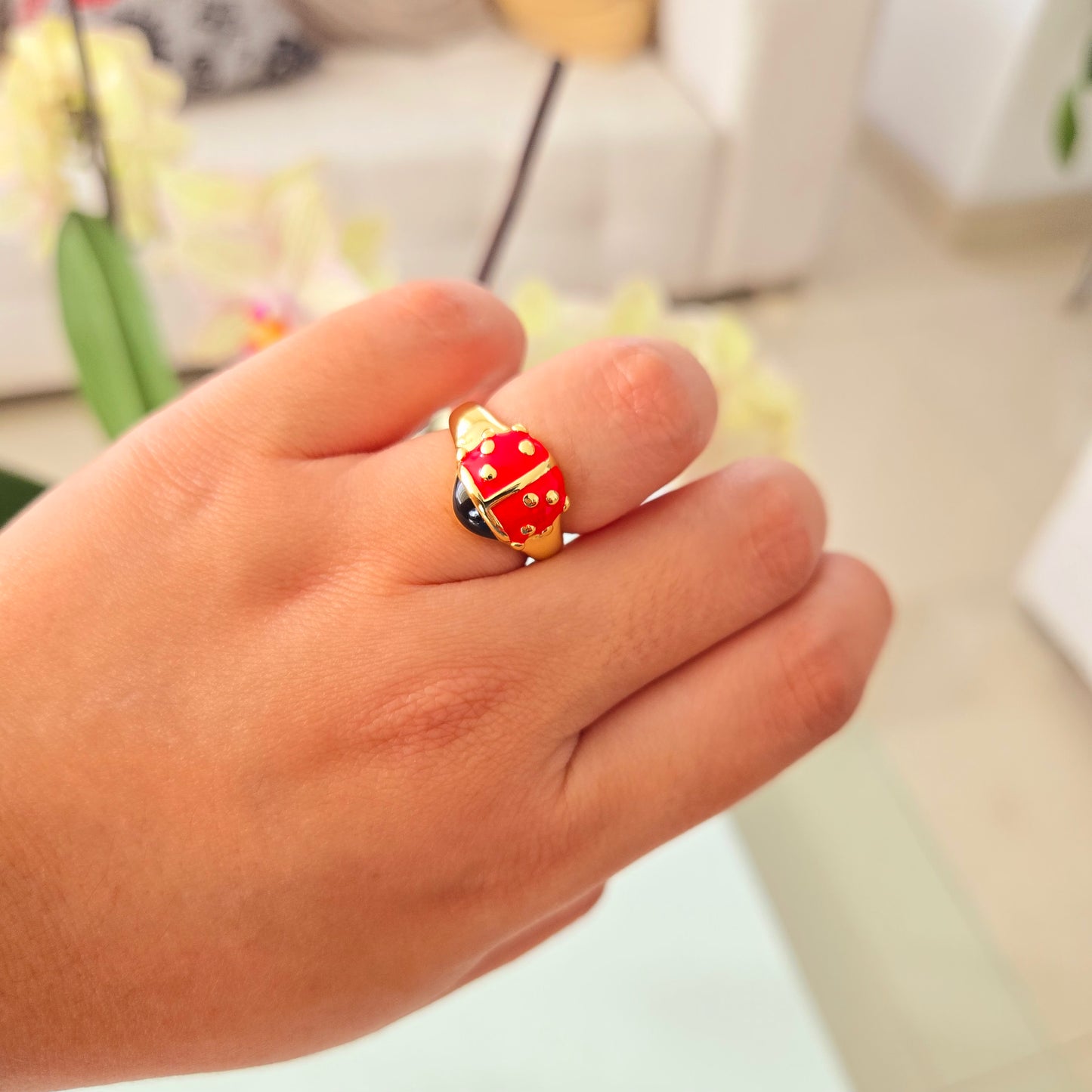 Anillo Mariquita 🐞
