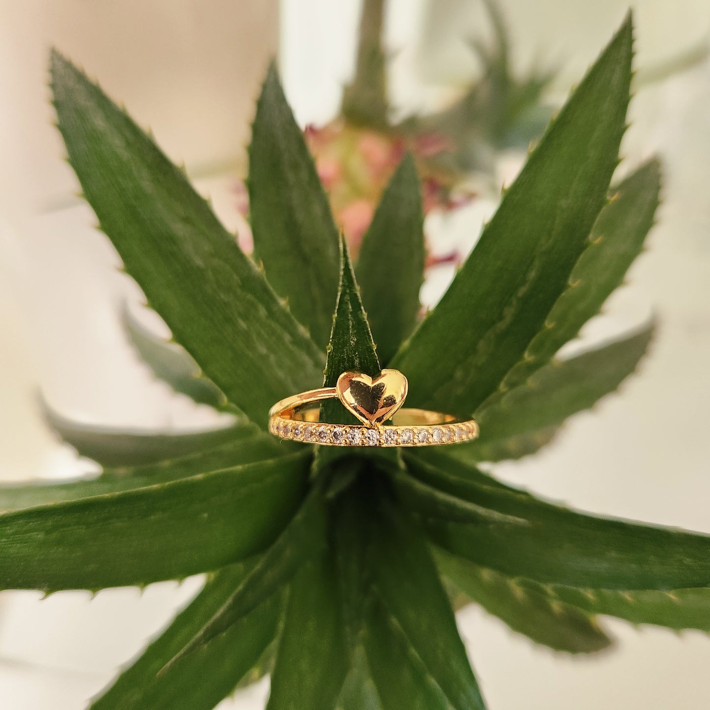 Anillo Promesa Corazón con cofre